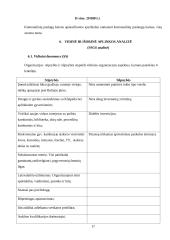 Verslo planas: senelių namai UAB "Gintariniai namai" 17 puslapis