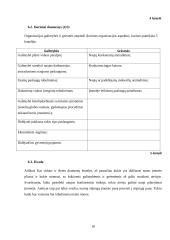 Verslo planas: senelių namai UAB "Gintariniai namai" 18 puslapis