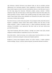 Verslo planas: senelių namai UAB "Gintariniai namai" 4 puslapis