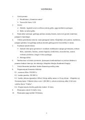 Verslo planas: senelių namai UAB "Gintariniai namai" 5 puslapis