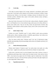 Verslo planas: senelių namai UAB "Gintariniai namai" 6 puslapis