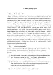 Verslo planas: senelių namai UAB "Gintariniai namai" 8 puslapis