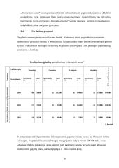 Verslo planas: senelių namai UAB "Gintariniai namai" 10 puslapis