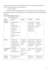 Verslo planas: siuvimo ateljė jūrinių keltų darbuotojams  UAB "Jūros dvelksmas" 13 puslapis
