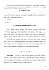 Verslo planas: siuvimo ateljė jūrinių keltų darbuotojams  UAB "Jūros dvelksmas" 4 puslapis