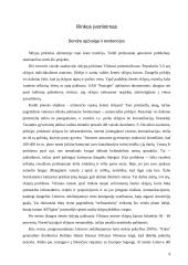 Verslo planas: sodybų statyba Vilniaus apskrityje UAB "Iglus" 11 puslapis