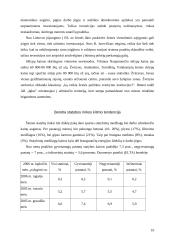 Verslo planas: sodybų statyba Vilniaus apskrityje UAB "Iglus" 12 puslapis