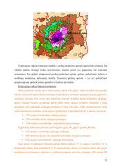 Verslo planas: sodybų statyba Vilniaus apskrityje UAB "Iglus" 14 puslapis