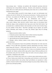 Verslo planas: sodybų statyba Vilniaus apskrityje UAB "Iglus" 16 puslapis