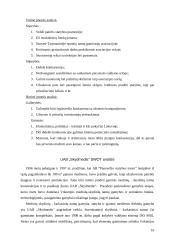 Verslo planas: sodybų statyba Vilniaus apskrityje UAB "Iglus" 18 puslapis