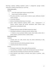 Verslo planas: sodybų statyba Vilniaus apskrityje UAB "Iglus" 19 puslapis