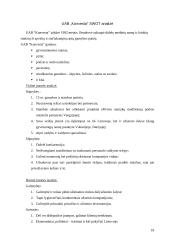 Verslo planas: sodybų statyba Vilniaus apskrityje UAB "Iglus" 20 puslapis