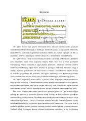 Verslo planas: sodybų statyba Vilniaus apskrityje UAB "Iglus" 3 puslapis