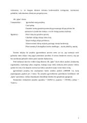 Verslo planas: sodybų statyba Vilniaus apskrityje UAB "Iglus" 4 puslapis