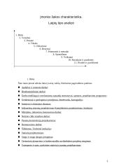 Verslo planas: sodybų statyba Vilniaus apskrityje UAB "Iglus" 5 puslapis