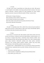 Verslo planas: sodybų statyba Vilniaus apskrityje UAB "Iglus" 6 puslapis