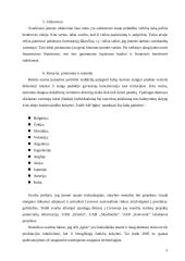 Verslo planas: sodybų statyba Vilniaus apskrityje UAB "Iglus" 7 puslapis