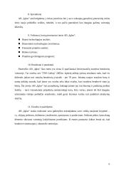 Verslo planas: sodybų statyba Vilniaus apskrityje UAB "Iglus" 8 puslapis