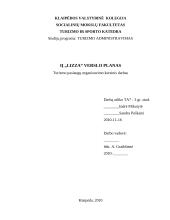 Verslo planas: svečių namai IĮ "Lizza"