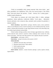 Verslo planas: svečių namai IĮ "Lizza" 3 puslapis