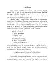 Verslo planas: svečių namai IĮ "Lizza" 9 puslapis