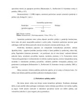 Verslo planas: svečių namai IĮ "Lizza" 10 puslapis