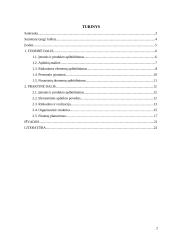 Verslo planas: transportavimas laivais UAB "Infert" 2 puslapis