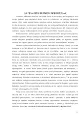 Verslo planas: transportavimas laivais UAB "Infert" 11 puslapis