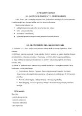 Verslo planas: transportavimas laivais UAB "Infert" 12 puslapis