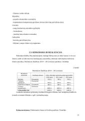 Verslo planas: transportavimas laivais UAB "Infert" 13 puslapis