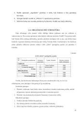 Verslo planas: transportavimas laivais UAB "Infert" 15 puslapis