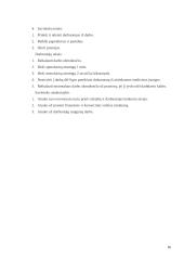 Verslo planas: transportavimas laivais UAB "Infert" 16 puslapis