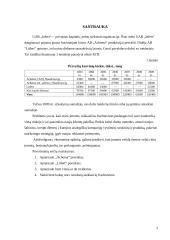 Verslo planas: transportavimas laivais UAB "Infert" 3 puslapis