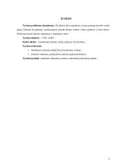 Verslo planas: transportavimas laivais UAB "Infert" 5 puslapis