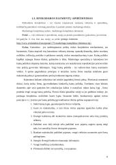 Verslo planas: transportavimas laivais UAB "Infert" 8 puslapis