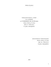 Verslo planas: vaikiškų prekių parduotuvė UAB "Coliukė" 2 puslapis