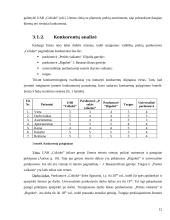 Verslo planas: vaikiškų prekių parduotuvė UAB "Coliukė" 12 puslapis