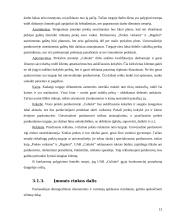 Verslo planas: vaikiškų prekių parduotuvė UAB "Coliukė" 13 puslapis