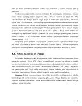 Verslo planas: vaikiškų prekių parduotuvė UAB "Coliukė" 19 puslapis