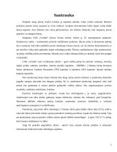 Verslo planas: vaikiškų prekių parduotuvė UAB "Coliukė" 5 puslapis