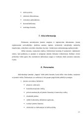 Verslo planas: vaisių ir daržovių didmeninė prekyba IĮ "Joginta" 13 puslapis