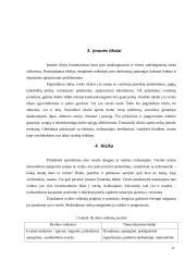 Verslo planas: vaisių ir daržovių didmeninė prekyba IĮ "Joginta" 4 puslapis