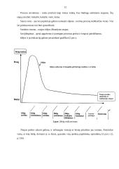 Verslo planas: vazonų gamyba ir pardavimas IĮ "Gėlių vazonų pasaulis" 11 puslapis