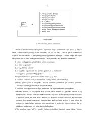 Verslo planas: vazonų gamyba ir pardavimas IĮ "Gėlių vazonų pasaulis" 12 puslapis