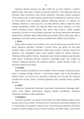 Verslo planas: vazonų gamyba ir pardavimas IĮ "Gėlių vazonų pasaulis" 19 puslapis