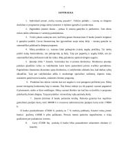 Verslo planas: vazonų gamyba ir pardavimas IĮ "Gėlių vazonų pasaulis" 6 puslapis