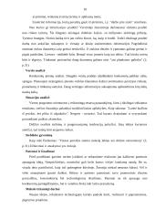 Verslo planas: vazonų gamyba ir pardavimas IĮ "Gėlių vazonų pasaulis" 9 puslapis