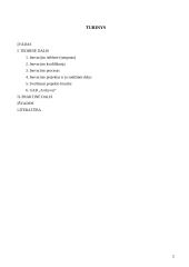 Verslo plėtros inovacinis projektas: archyvinės dokumentacijos saugojimas ir administravimas UAB "Archyvai" 2 puslapis