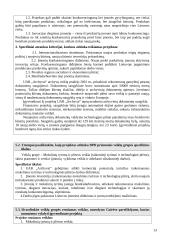 Verslo plėtros inovacinis projektas: archyvinės dokumentacijos saugojimas ir administravimas UAB "Archyvai" 13 puslapis