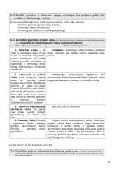 Verslo plėtros inovacinis projektas: archyvinės dokumentacijos saugojimas ir administravimas UAB "Archyvai" 19 puslapis